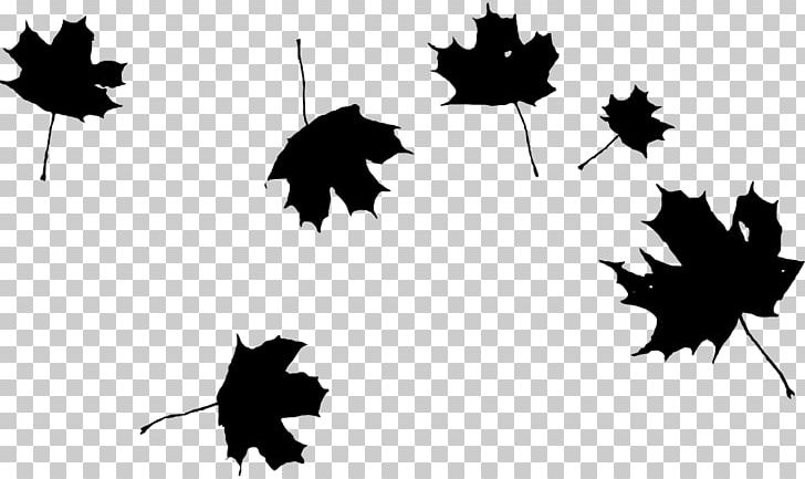 Common Grape Vine Grape Leaves PNG, Clipart, Black, Black And White, Branch, Common Grape Vine, Computer Icons Free PNG Download