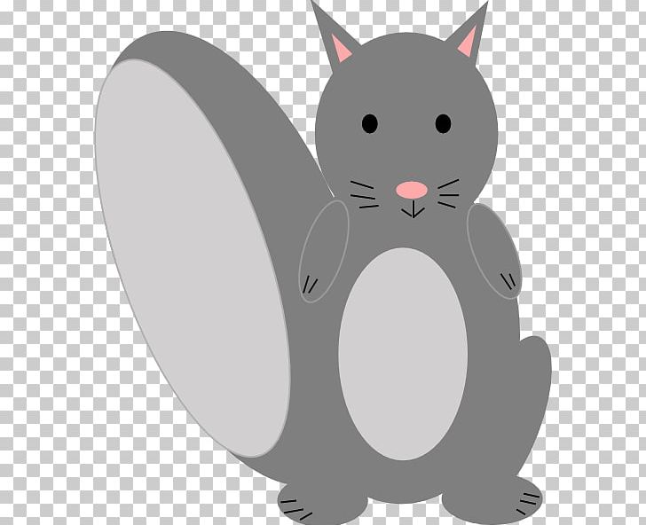 Eastern Gray Squirrel PNG, Clipart, Animals, Black Squirrel, Carnivoran, Cartoon, Cat Free PNG Download