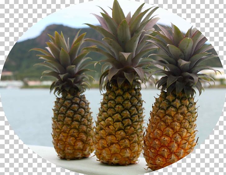 Pineapple Antigua Food Stuffing Juice PNG, Clipart, Ananas, Antigua, Berry, Black Pepper, Bromelain Free PNG Download