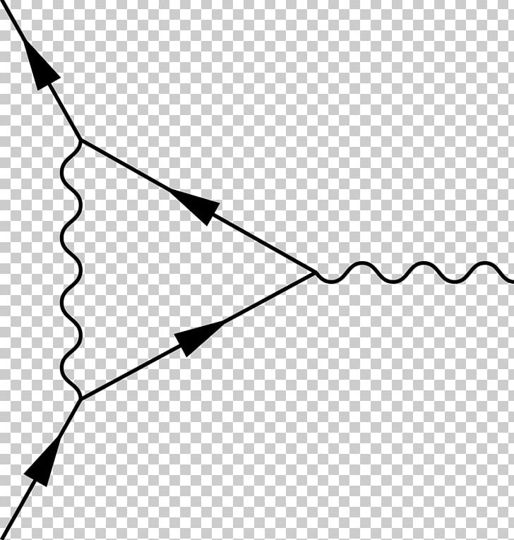 Quantum Electrodynamics Vertex Function Quantum Mechanics Magnetic Moment Classical Electromagnetism PNG, Clipart, Angle, Black, Electron, Leaf, Magnetic Free PNG Download