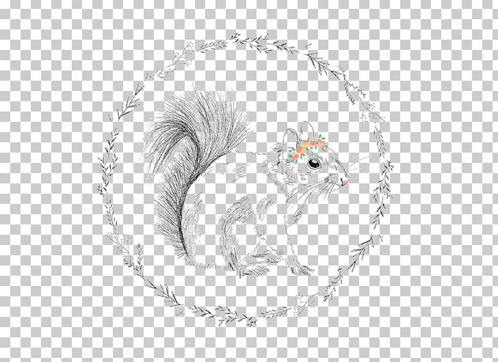 Whiskers Tree Squirrel Rodent PNG, Clipart, Animal, Animals, Art, Black And White, Canidae Free PNG Download