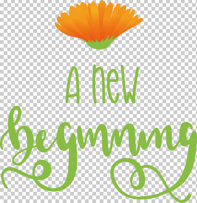 A New Beginning PNG, Clipart, Cut Flowers, Daisy Family, Floral Design, Flower, Logo Free PNG Download