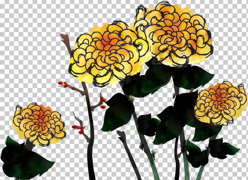 Chrysanthemum Chrysanths PNG, Clipart, Biology, Chrysanthemum, Chrysanths, Cut Flowers, Floral Design Free PNG Download