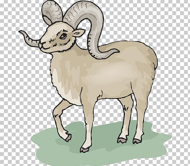 Bighorn Sheep Goat PNG, Clipart, Animal Figure, Animals, Argali, Barbary Sheep, Bighorn Sheep Free PNG Download