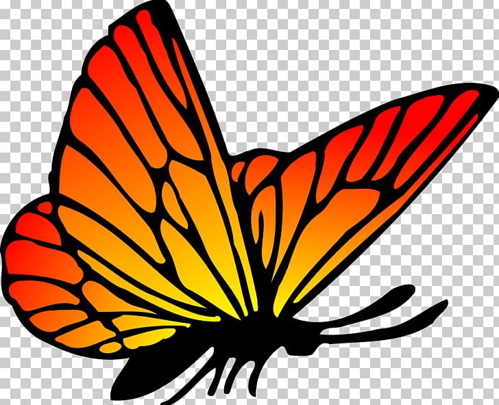 Butterfly Drawing PNG, Clipart, Artwork, Brush Footed Butterfly, Butterfly, Color, Download Free PNG Download