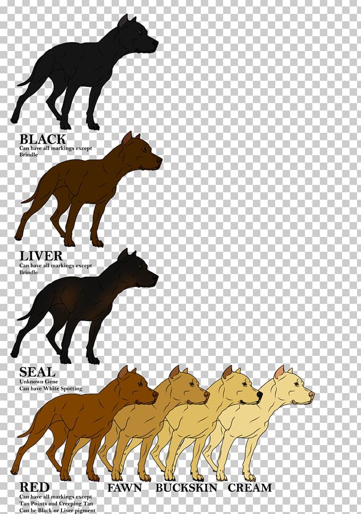 Canidae Cat Horse Dog Mammal PNG, Clipart, American Pit Bull Terrier, Animal, Canidae, Carnivoran, Cat Free PNG Download