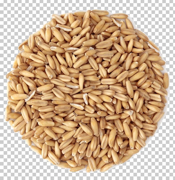Organic Food Cereal Grain Groat PNG, Clipart, Avena, Betaglucan, Bread, Cereal, Cereal Germ Free PNG Download