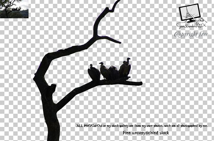 Stock Photography PNG, Clipart, And Then There Were None, Black And White, Branch, Brand, Deviantart Free PNG Download