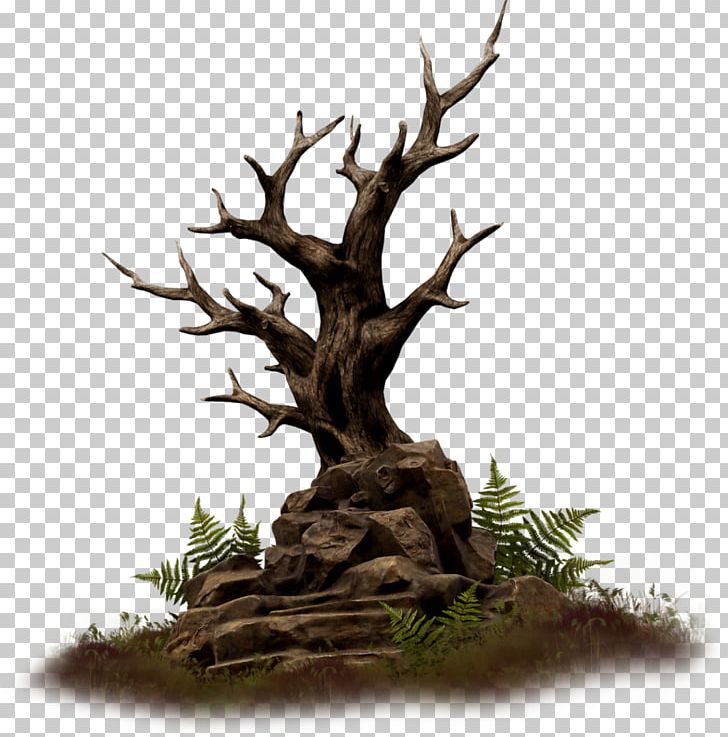 Wood Branch Rock Tree PNG, Clipart, Antler, Bonsai, Branch, Download, Fleur Free PNG Download