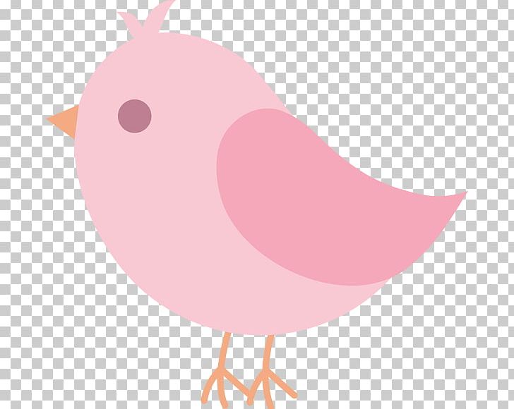 Bird PNG, Clipart, Animals, Beak, Bird, Bird Clipart, Chicken Free PNG Download