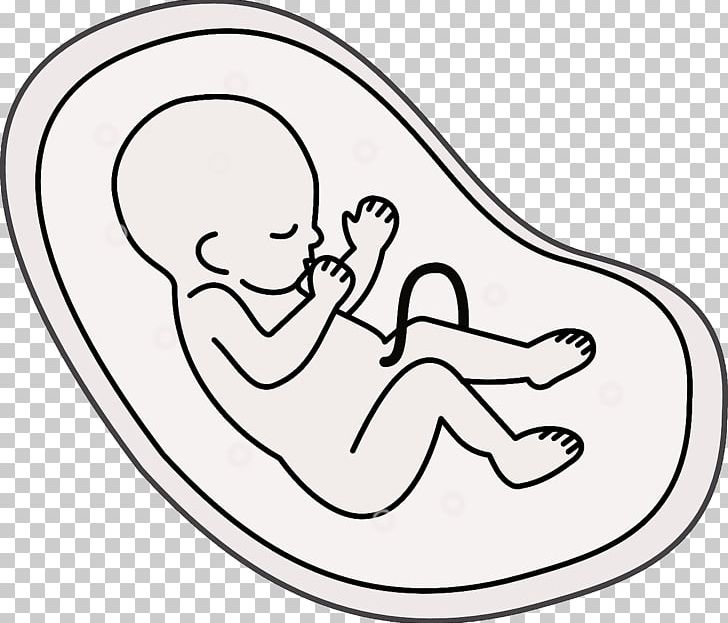 Embryo Fetus Cartoon Pregnancy PNG, Clipart, Art, Artwork, Drawing ...