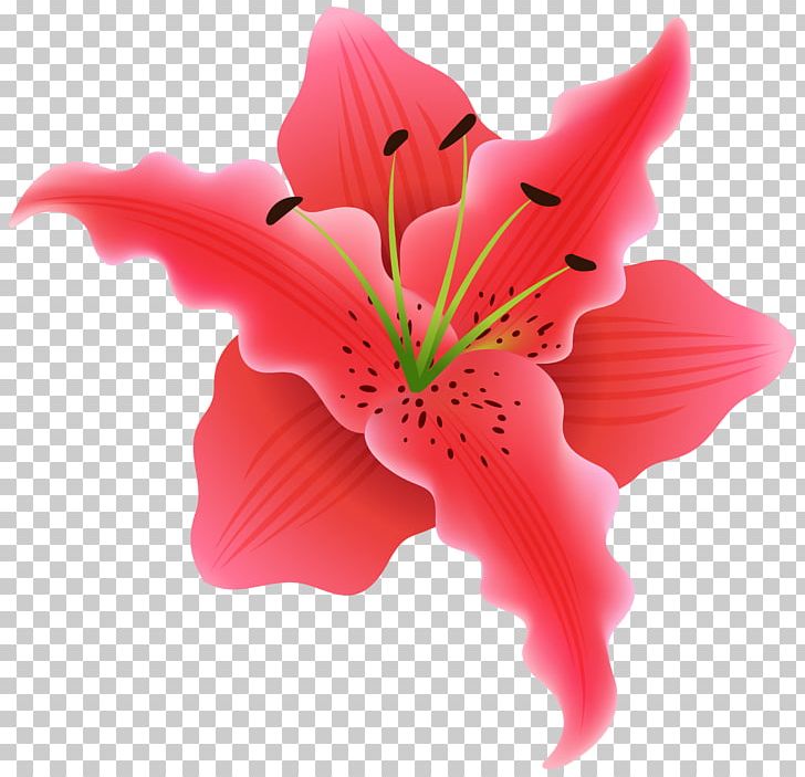 Flower PNG, Clipart, Beautiful, Clipart, Clip Art, Desktop Wallpaper, Digital Image Free PNG Download