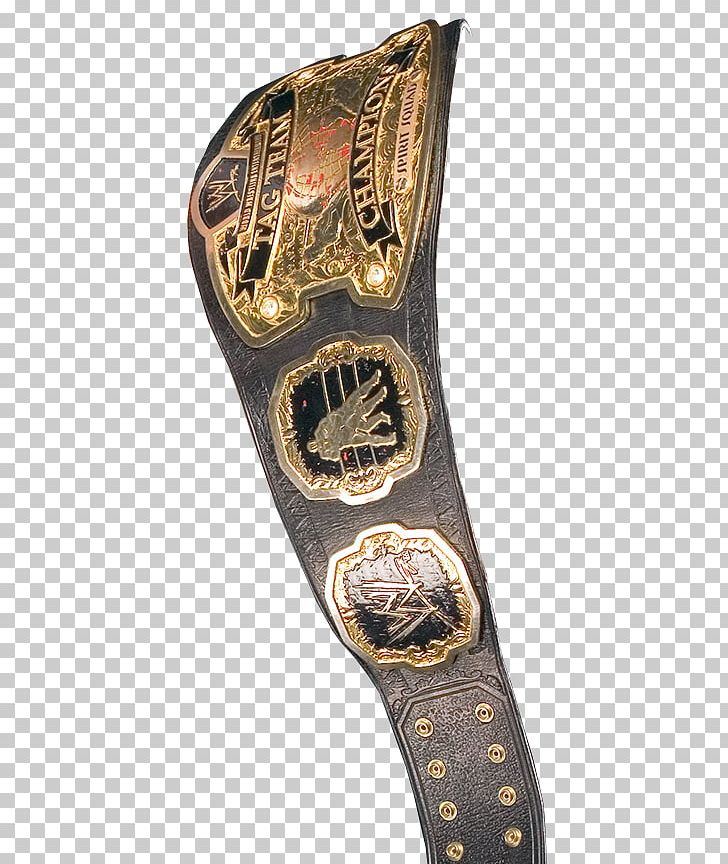 ROH World Tag Team Championship WWE SmackDown Tag Team Championship WWE Intercontinental Championship WWE Raw Tag Team Championship PNG, Clipart, Bls, Deviantart, Others, Professional, Professional Wrestling Free PNG Download
