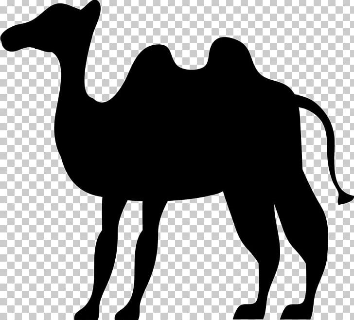 Camel Eid Al-Adha PNG, Clipart, Adha, Animals, Background Black, Black, Black And White Free PNG Download