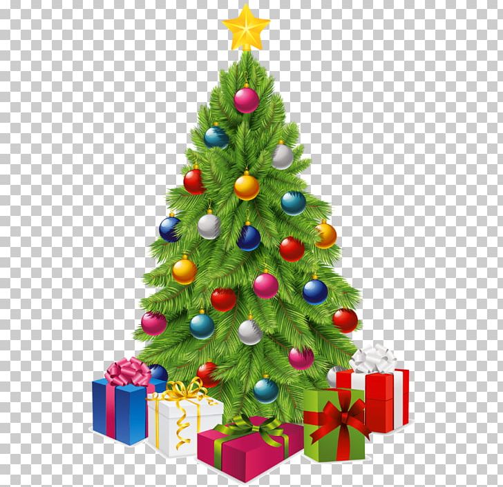 Christmas Tree PNG, Clipart, Christmas, Christmas Decoration, Christmas Ornament, Christmas Tree, Conifer Free PNG Download