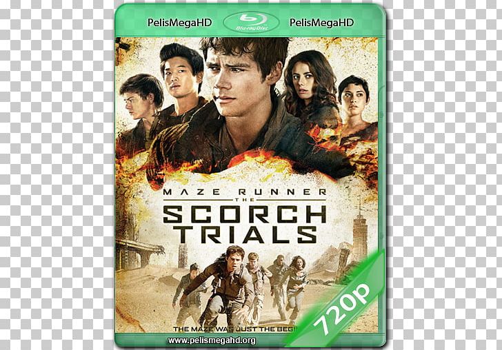 James Dashner Maze Runner: The Scorch Trials Blu-ray Disc Ultra HD Blu-ray PNG, Clipart, 4k Resolution, Bluray Disc, Dexter Darden, Digital Copy, Dvd Free PNG Download
