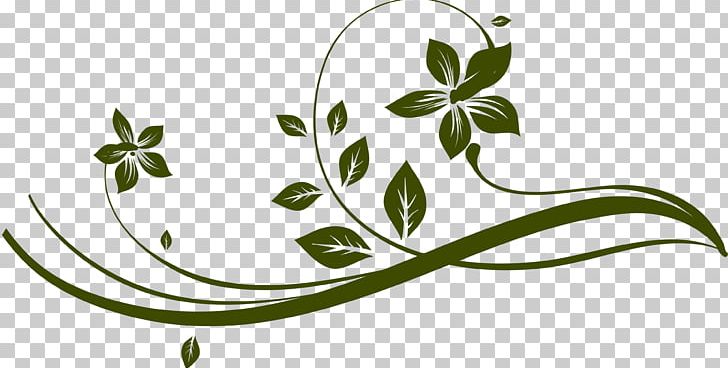 Plant Stem Leaf Green PNG, Clipart, Branch, Color, Flash, Flora, Flower Free PNG Download