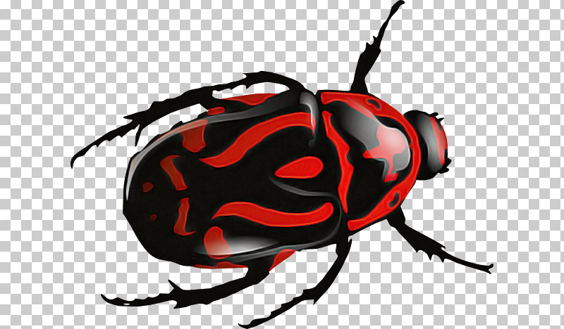 Beetles Scarabs Dung Beetle Colorado Potato Beetle Ladybugs PNG, Clipart, Beetles, Colorado Potato Beetle, Drawing, Dung Beetle, Green June Beetle Free PNG Download