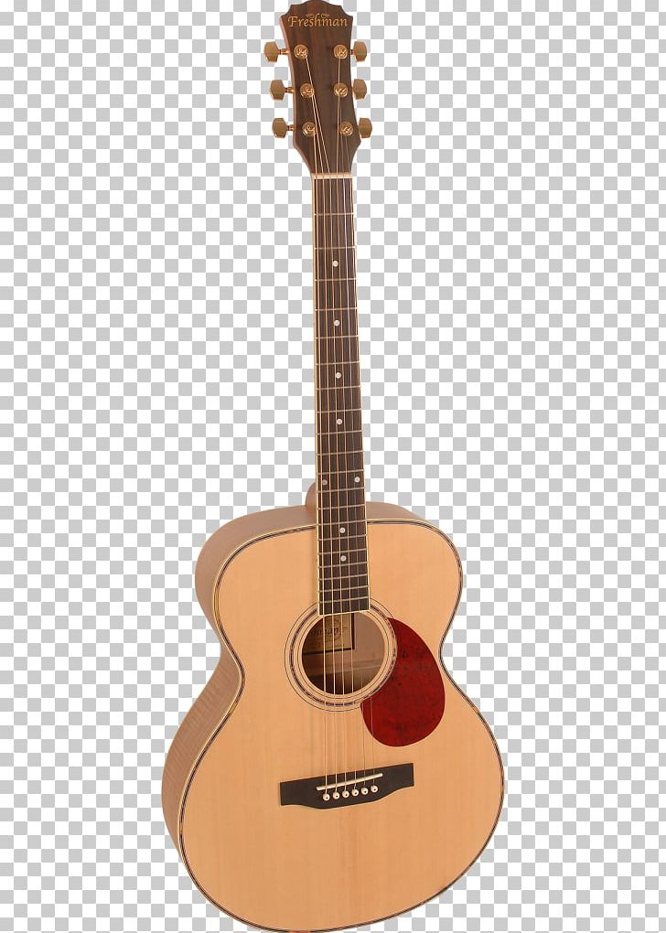 Dreadnought Twelve-string Guitar Takamine Guitars Acoustic-electric Guitar Acoustic Guitar PNG, Clipart, Classical Guitar, Cuatro, Cutaway, Epiphone, Guitar Accessory Free PNG Download