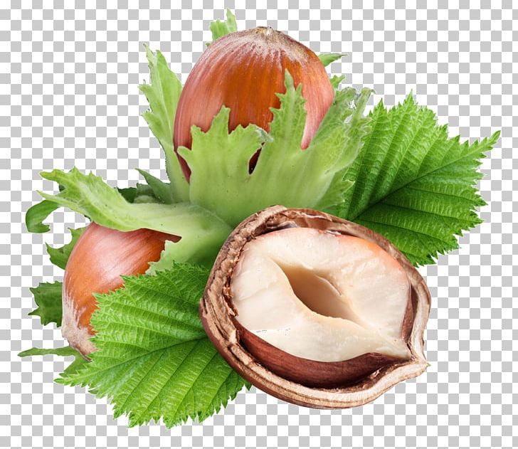 Hazelnut Nuts Nucule Pistachio PNG, Clipart, Cashew, Common Hazel, English Walnut, Food, Fruit Nut Free PNG Download