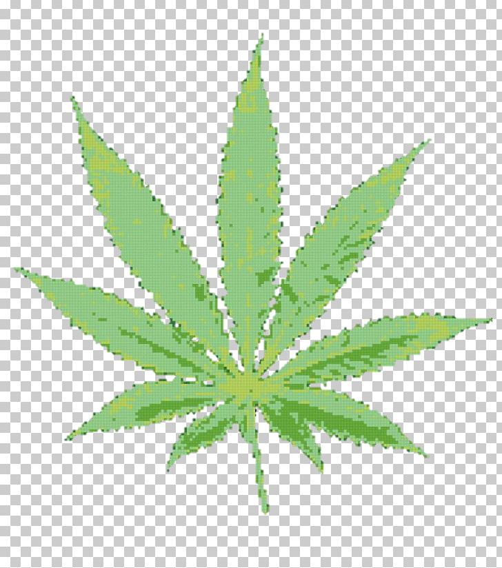 Criminal Defense Lawyer Cannabis Prosecutor Hemp PNG, Clipart, Avatan, Avatan Plus, Cannabis, Crime, Criminal Defense Lawyer Free PNG Download