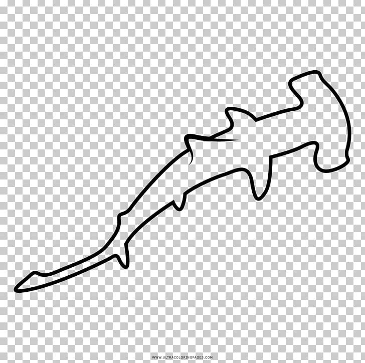 Shark Great Hammerhead Drawing Coloring Book Bonnethead PNG, Clipart,  Free PNG Download