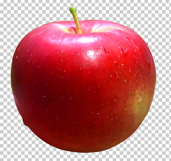 Apple Fruit Auglis PNG, Clipart, Apple, Apple Fruit, Apple Logo, Apples, Apple Tree Free PNG Download