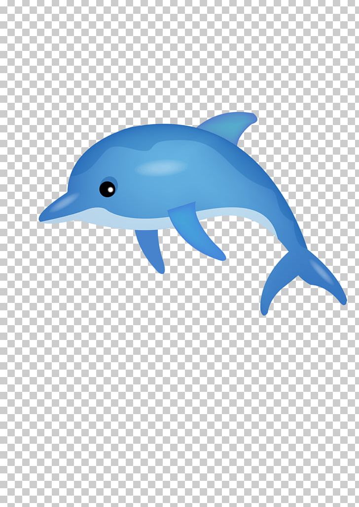 Common Bottlenose Dolphin Tucuxi Short-beaked Common Dolphin PNG, Clipart, Animal, Animals, Blue, Cartoon Character, Cartoon Cloud Free PNG Download