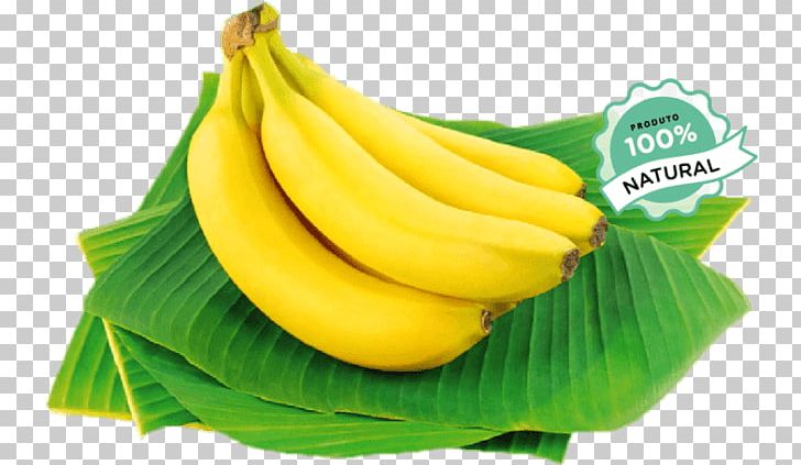 Saba Banana Vallefrutas Distribuidora De Bananas Cooking Banana Banaani Food PNG, Clipart, Banana, Banana Family, Bunch, Commodity, Cooking Free PNG Download