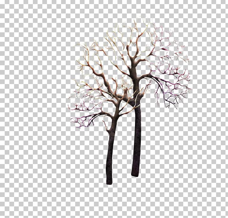 Tree Trunk PNG, Clipart, Black And White, Branch, Data, Data Compression, Download Free PNG Download