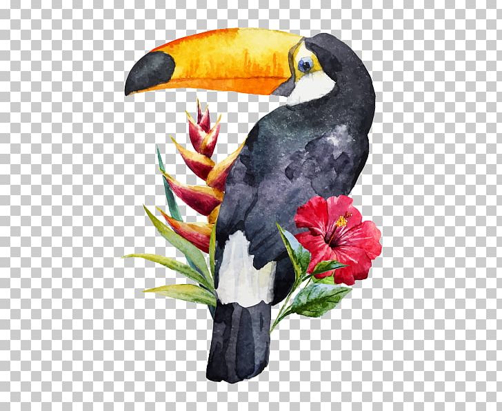 Bird Toucan Watercolor Painting PNG, Clipart, Animals, Art, Beak, Bird, Drawing Free PNG Download