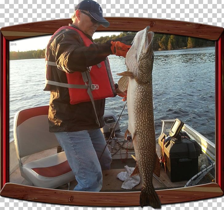 Fishing Red Cedar Lake Northern Pike Northern Ontario Memesagamesing Lake PNG, Clipart, Accommodation, Fish, Fishing, Game Fish, Hobby Free PNG Download
