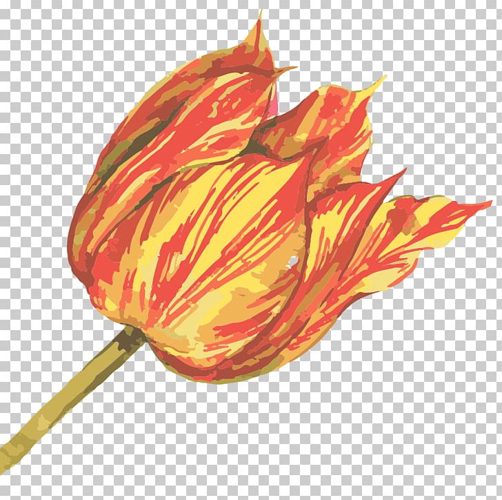 Watercolor Painting Oil Painting PNG, Clipart, Designer, Download, Effect, Euclidean Vector, Flower Free PNG Download