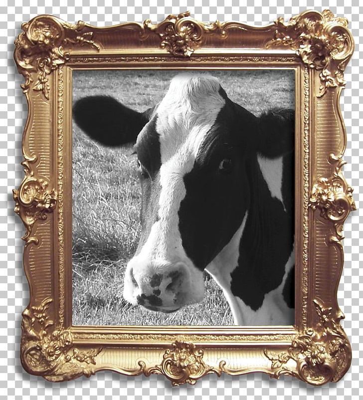 Betsy The Cow Holstein Friesian Cattle Milk Dairy Bluebell The Cow PNG, Clipart, Betsy The Cow, Bluebell The Cow, Cattle, Cattle Like Mammal, Cheese Free PNG Download