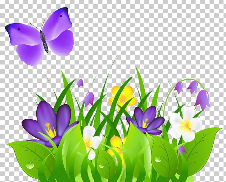 Butterfly Flower PNG, Clipart, Butterfly, Color, Computer Wallpaper, Crocus, Flora Free PNG Download