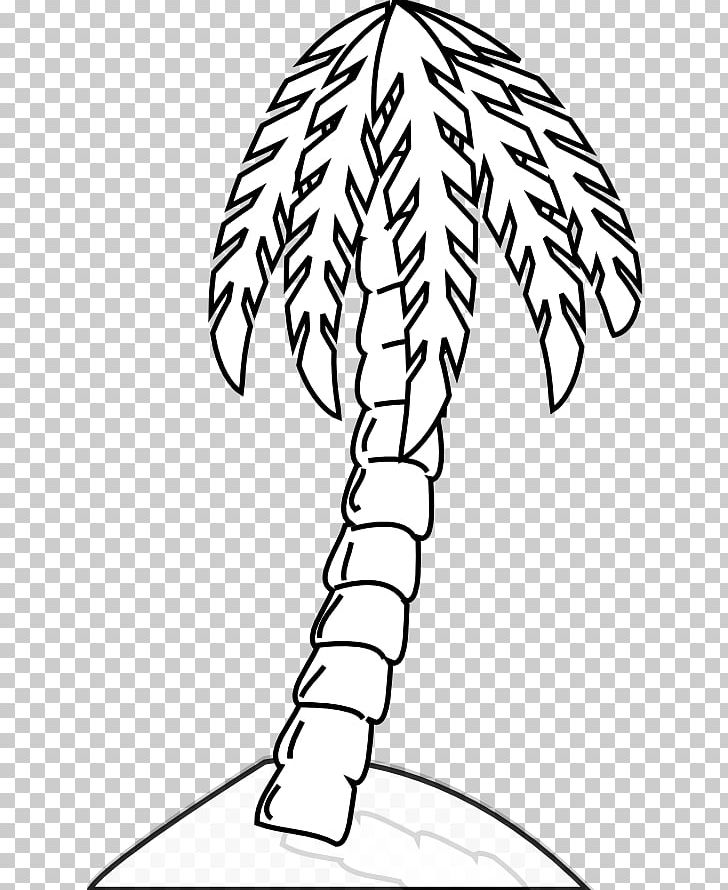 Arecaceae Tree Drawing Black And White PNG, Clipart, Arecaceae, Areca Palm, Black And White, Branch, Coconut Free PNG Download
