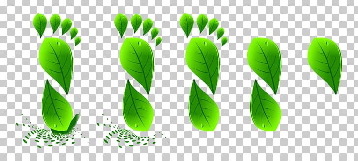 Green Icon PNG, Clipart, Adobe Flash Player, Background Green, Brand, Cartoon, Creative Background Free PNG Download