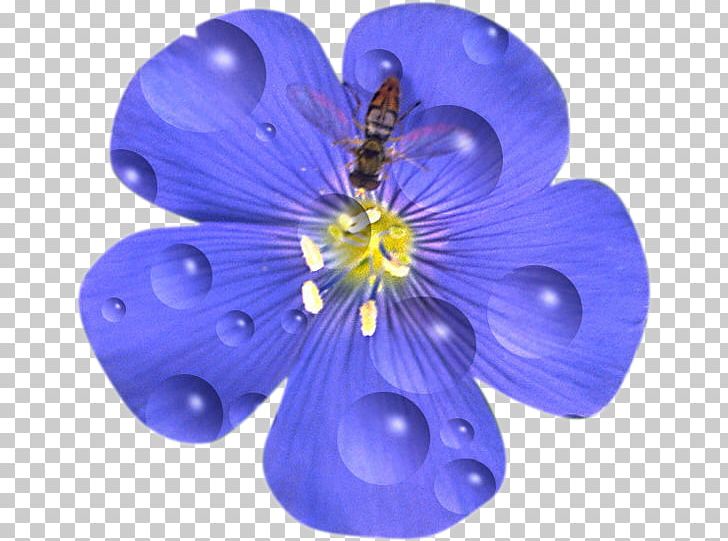 Flower Drawing Petal Blue Flax Tea Room PNG, Clipart, Blue, Cicek, Cicek Resimleri, Cobalt Blue, Description Free PNG Download