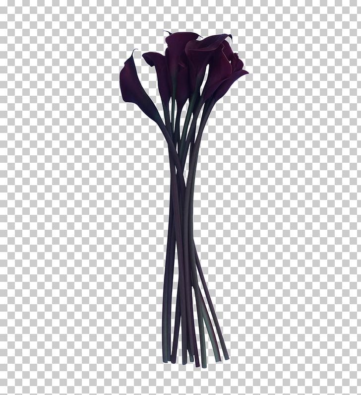 Flower Vase PNG, Clipart, Calla Lily Flower, Flower, Nature, Plant, Purple Free PNG Download
