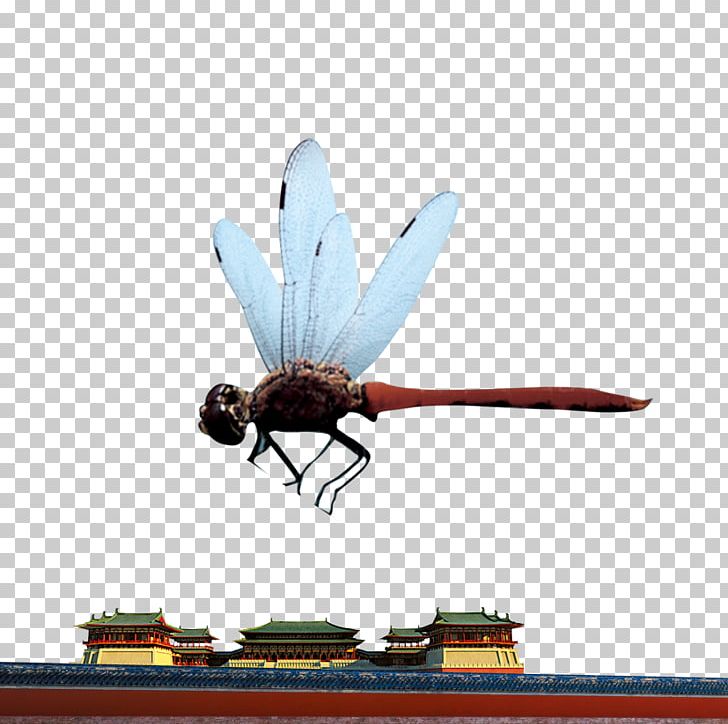 Insect Dragonfly Computer File PNG, Clipart, Building, Cartoon Dragonfly, Classical, Classical Building, Computer Wallpaper Free PNG Download