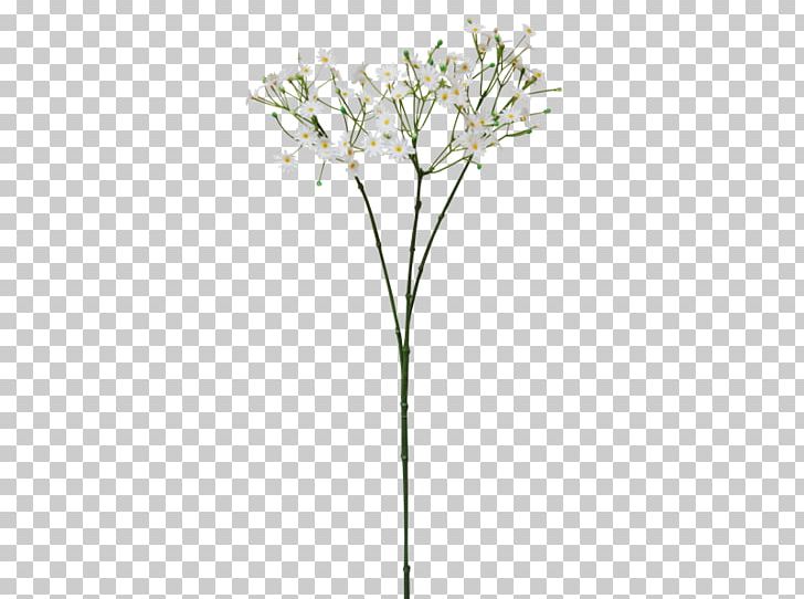 Twig Cut Flowers Plant Stem Leaf PNG, Clipart, Bellis Caerulescens, Branch, Cut Flowers, Flora, Flower Free PNG Download