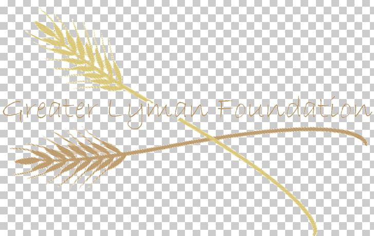 Grasses Commodity Line Font PNG, Clipart, Art, Commodity, Flowering Plant, Grasses, Grass Family Free PNG Download