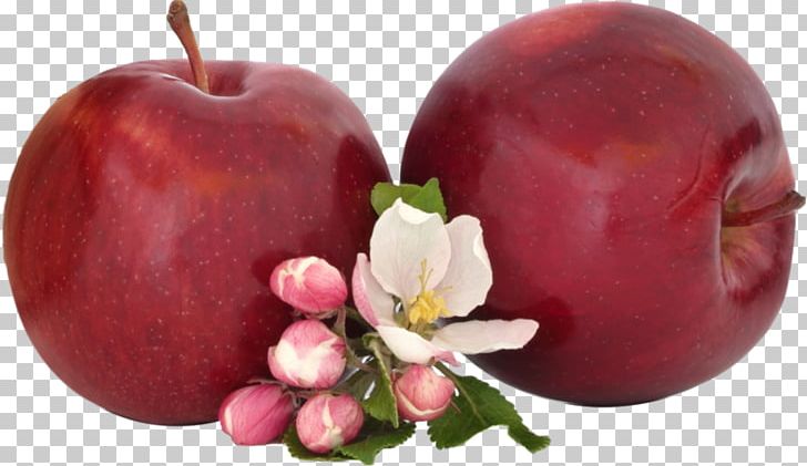 Modern Saghf Isfahan Company New Year Nowruz PNG, Clipart, Apple, Apple Fruit, Apple Logo, Building, Diet Food Free PNG Download