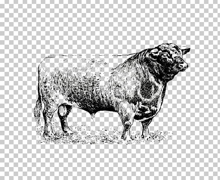 Sheep Cattle Ox Bull Horn PNG, Clipart, Animal, Animals, Black And White, Bull, Cattle Free PNG Download