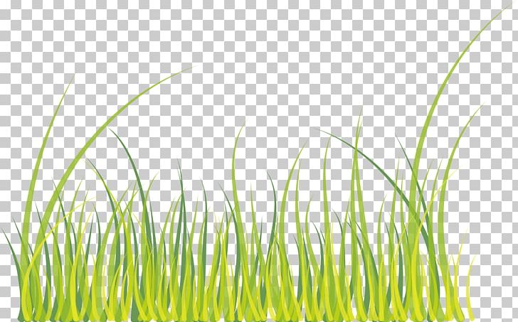 Green PNG, Clipart, Adobe Illustrator, Background Green, Cartoon, Download, Encapsulated Postscript Free PNG Download