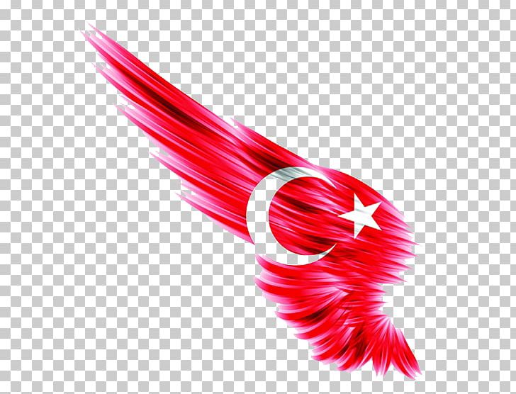 I Duvarkapla.co | Wall Paper Flag Of Turkey Ottoman Empire Istanbul PNG, Clipart, Angel Wing, Angel Wings, Bing Images, Chicken Wings, Closeup Free PNG Download