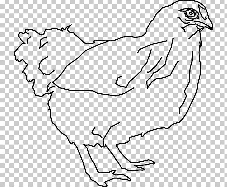 Silkie Drawing Line Art Chicken As Food PNG, Clipart, Angle, Area, Art, Artwork, Beak Free PNG Download