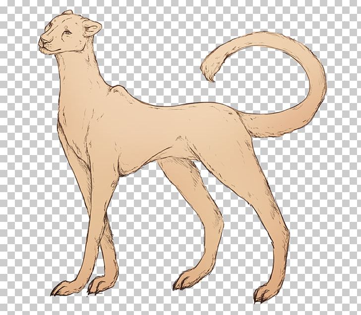 Dog Breed Cat Line Art Tail PNG, Clipart, Animal, Animal Figure, Animals, Big Cat, Big Cats Free PNG Download