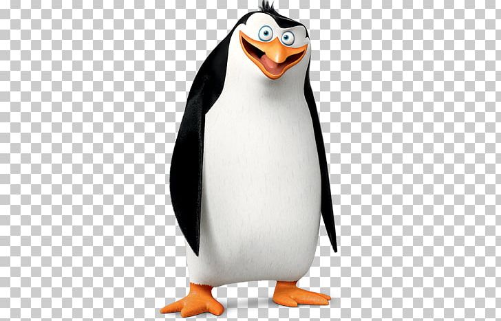 Madagascar Penguins PNG, Clipart, Madagascar Penguins Free PNG Download