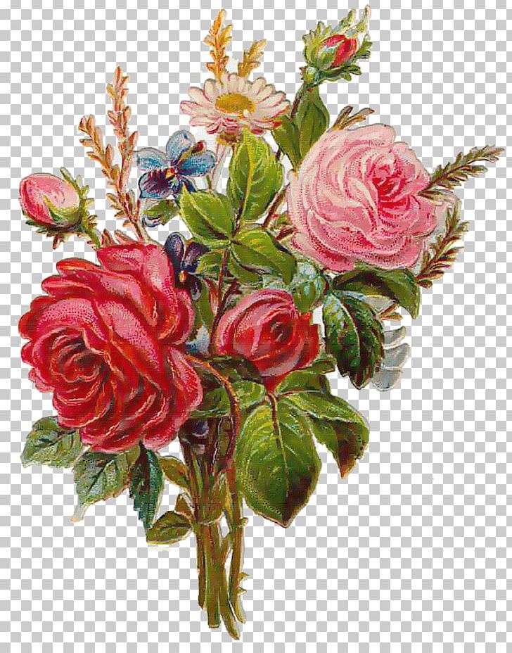 Old Roses And English Roses Flower Garden Roses PNG, Clipart, Artificial Flower, Blume, Digital Image, Floribunda, Flower Free PNG Download